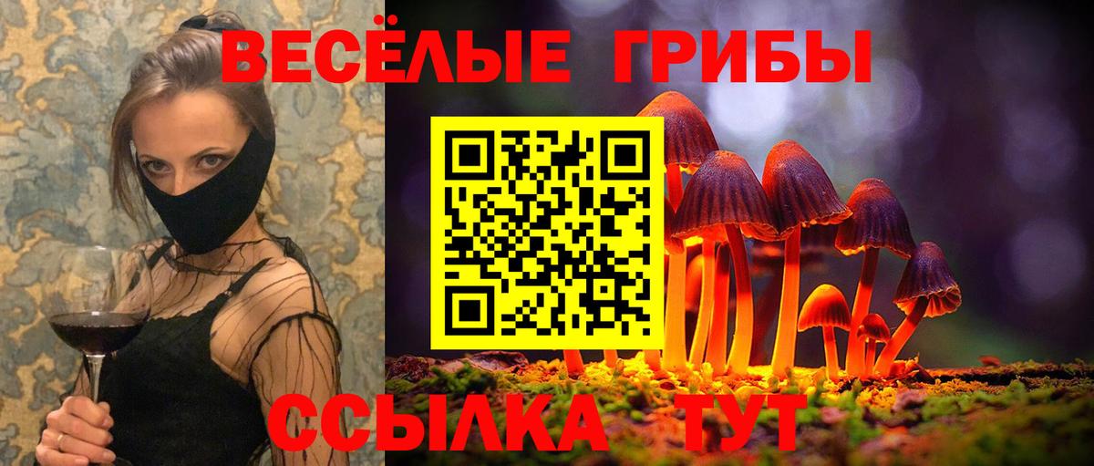 Галлюциногенные грибы Cubensis Гудермес