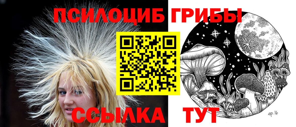 Гудермес  Псилоцибиновые грибы ЛСД  Вход с VPN  Псилоцибиновые грибы Psilocybine cubensis 